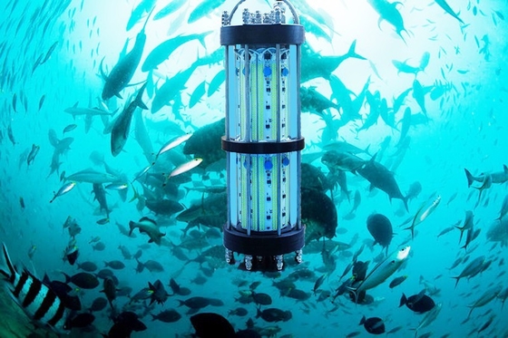 Waterproof Underwater Dock Fishing Lights , Green Submersible Fishing Lights