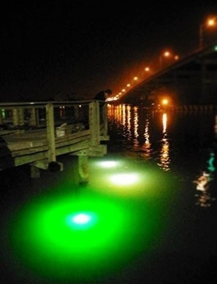 Lure Boat Energy Saving Submersible Led Fishing Lights With Battery Clip